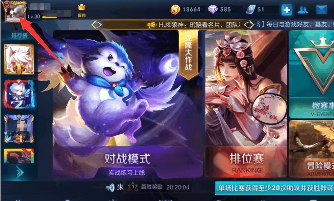 家损失不管, 王者荣耀 家损失不管, 王者荣耀